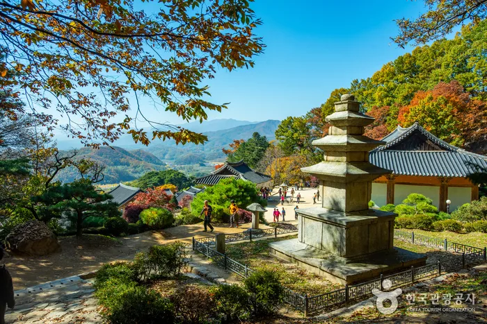 과거로 돌아가 잠시 삶의 쉼표를 찍어보는 영주 여행