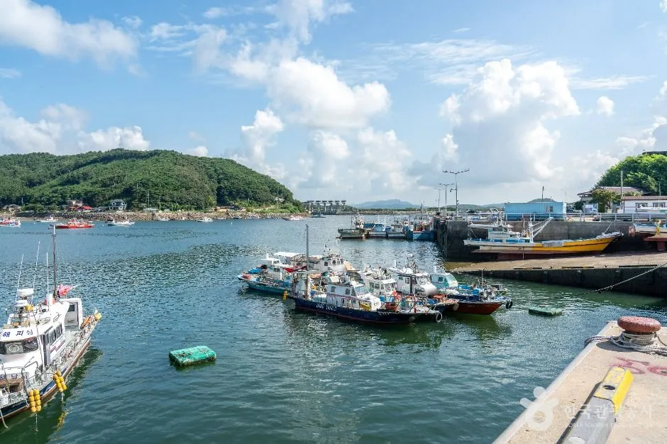 보령_오천항 (3)