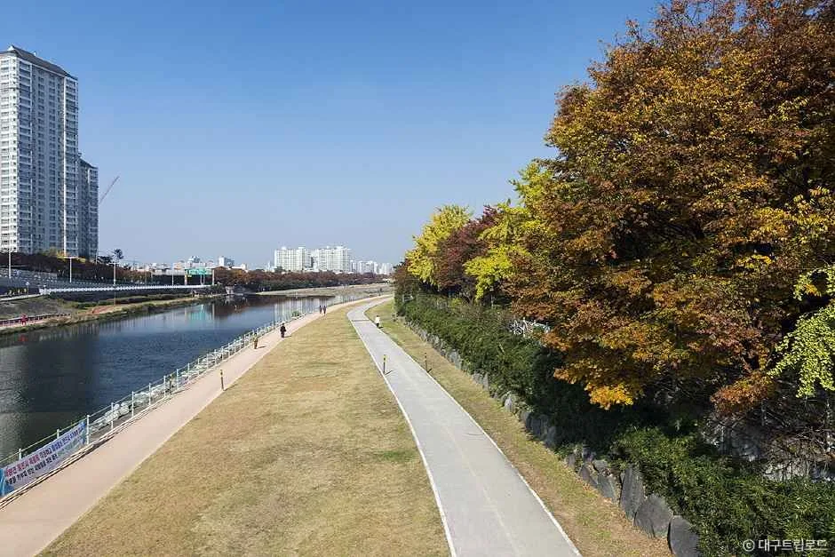 대구_신천 (2).jpg