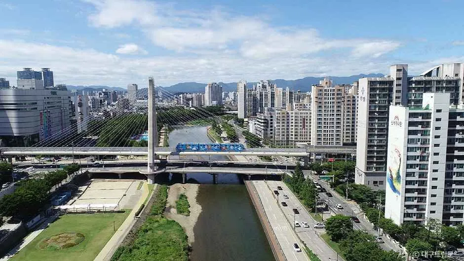 대구_신천 (3).jpg