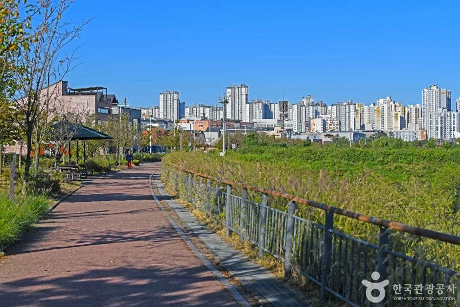 김포_김포 사색의 길 (3)