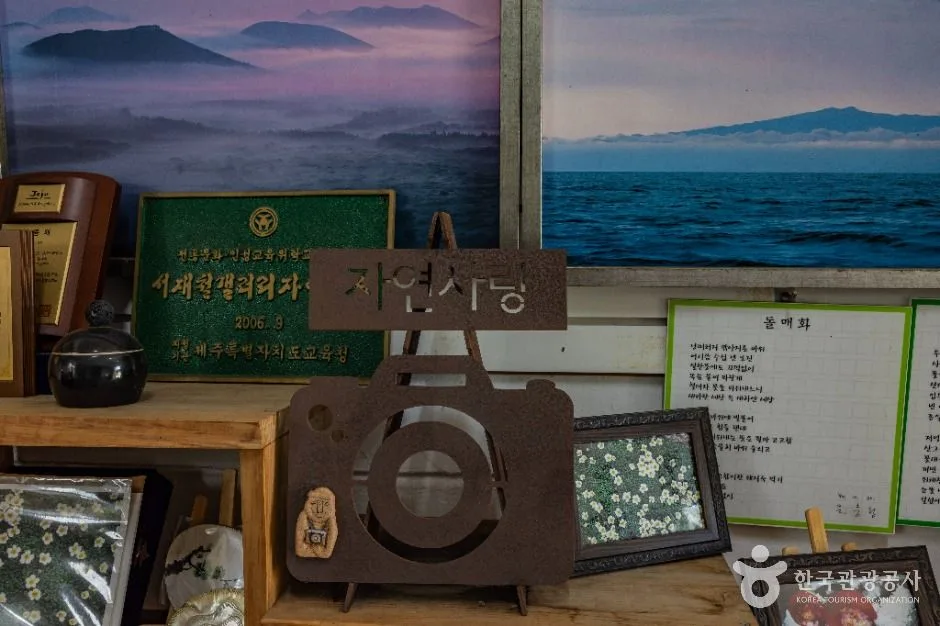 제주_자연사랑미술관 (8)