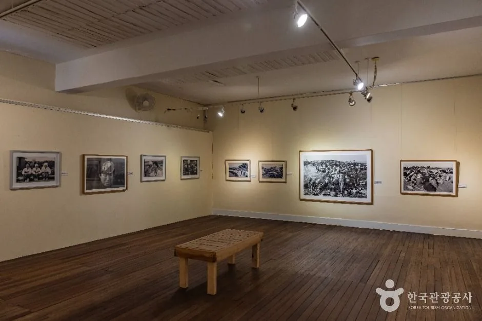 제주_자연사랑미술관 (6)