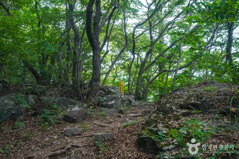 거제_북병산 (5)