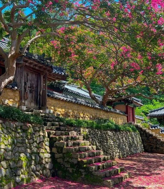 고령_도암서원(고령) (4)