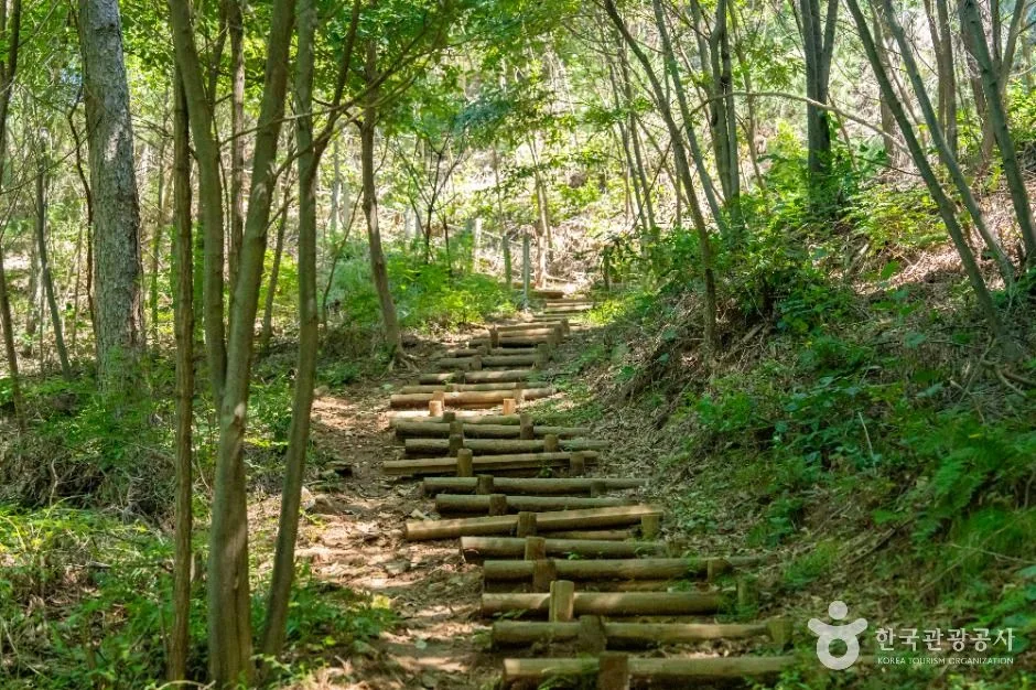 용인_용인 석포숲공원 (2)