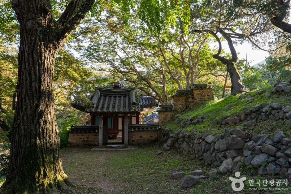 경북_포항_애은당고택·사우정고택·용계정 (14)