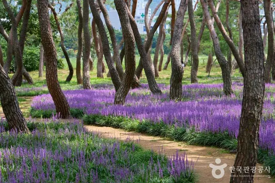 황성공원