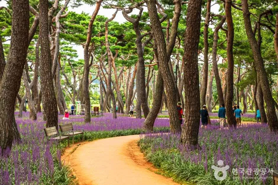 황성공원