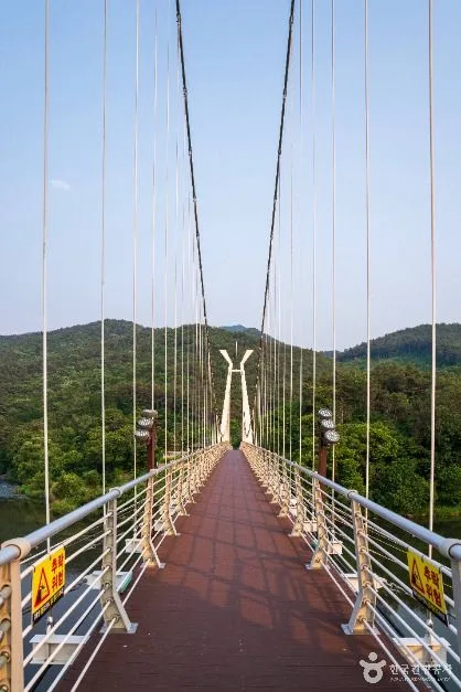 대황강출렁다리 (1)