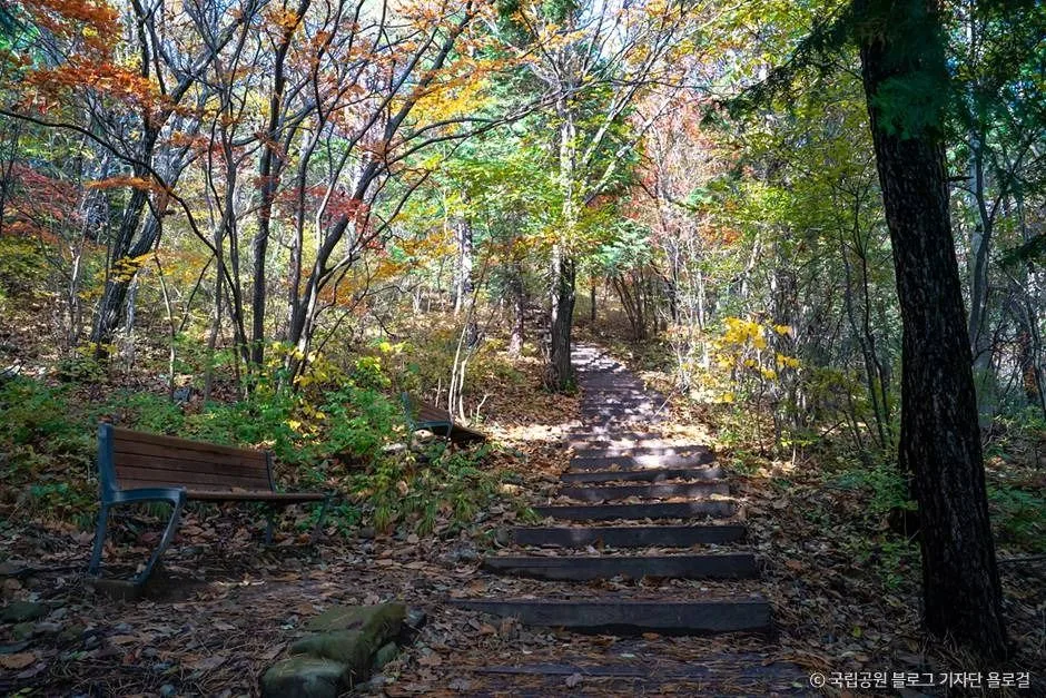화순_무등산국립공원(화순) (2)