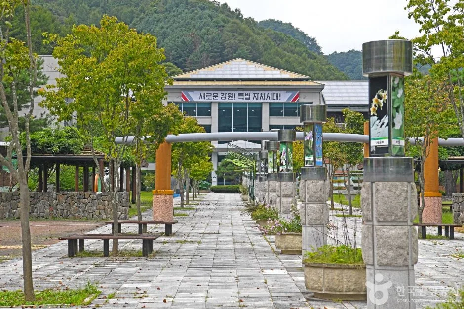 홍천_자연환경연구공원 (1)