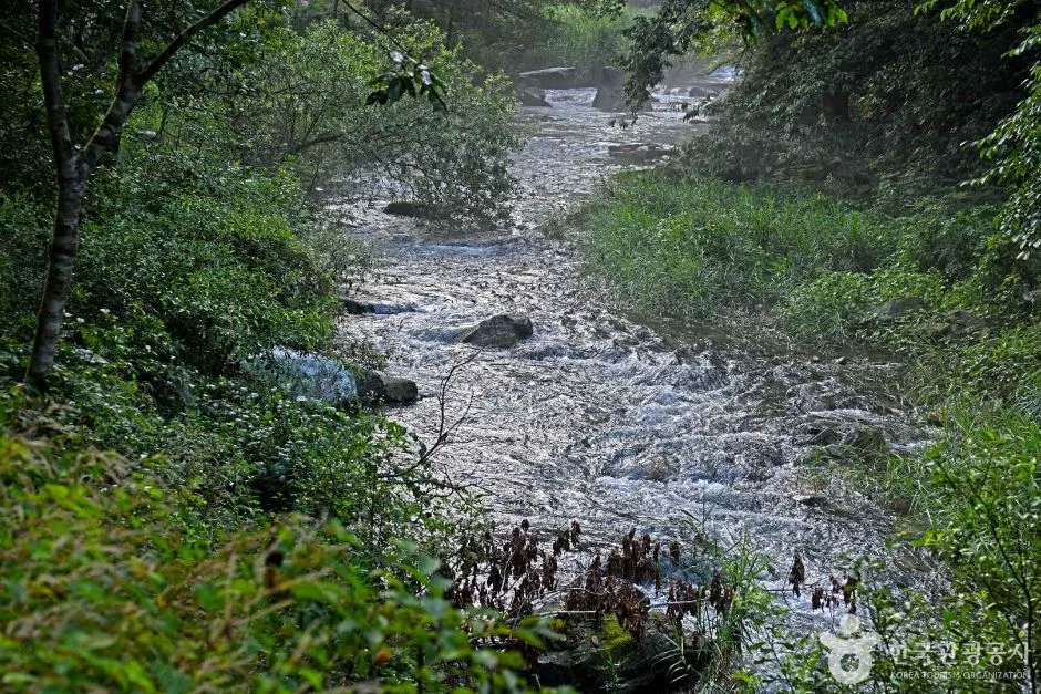 덕산계곡 (5)