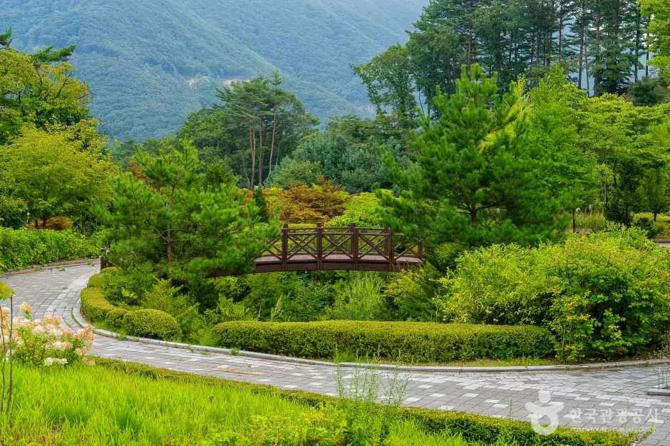 백두대간생태수목원