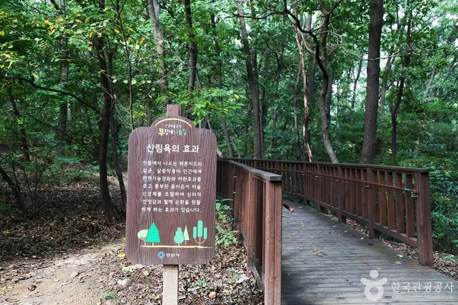 안양에서 만나는 숲과 전망 힐링 코스_경기_안양_삼성산산림욕장_6.jpg