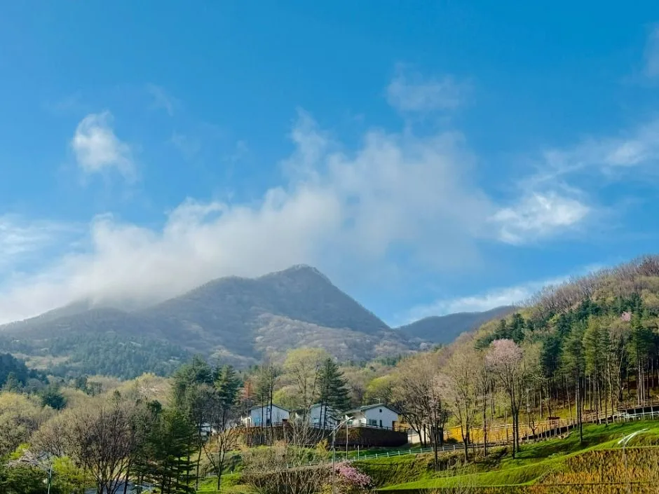 진안_국립진안고원산림치유원 (6)