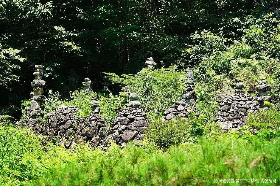 하동_지리산국립공원(하동) (4)