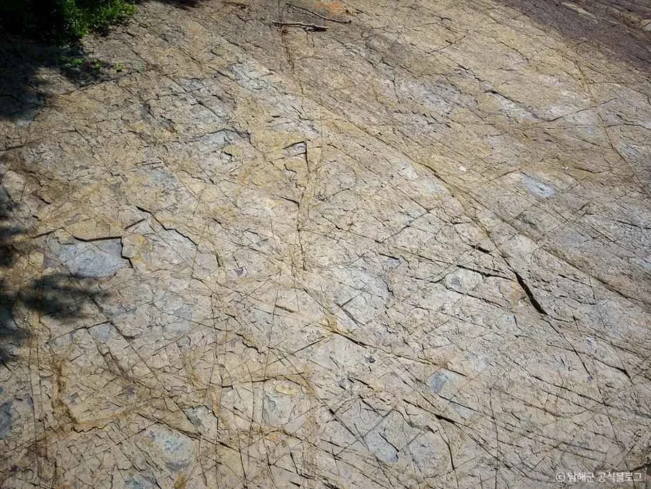 남해_남해 가인리 화석산지 (8)