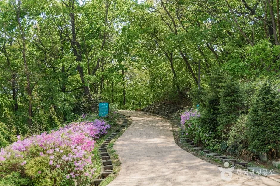 서울_북서울꿈의숲 (5)