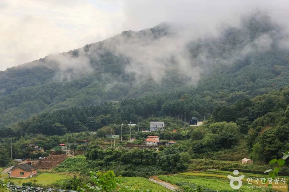 경기_양평_양평 쌍겨리마을 (7)