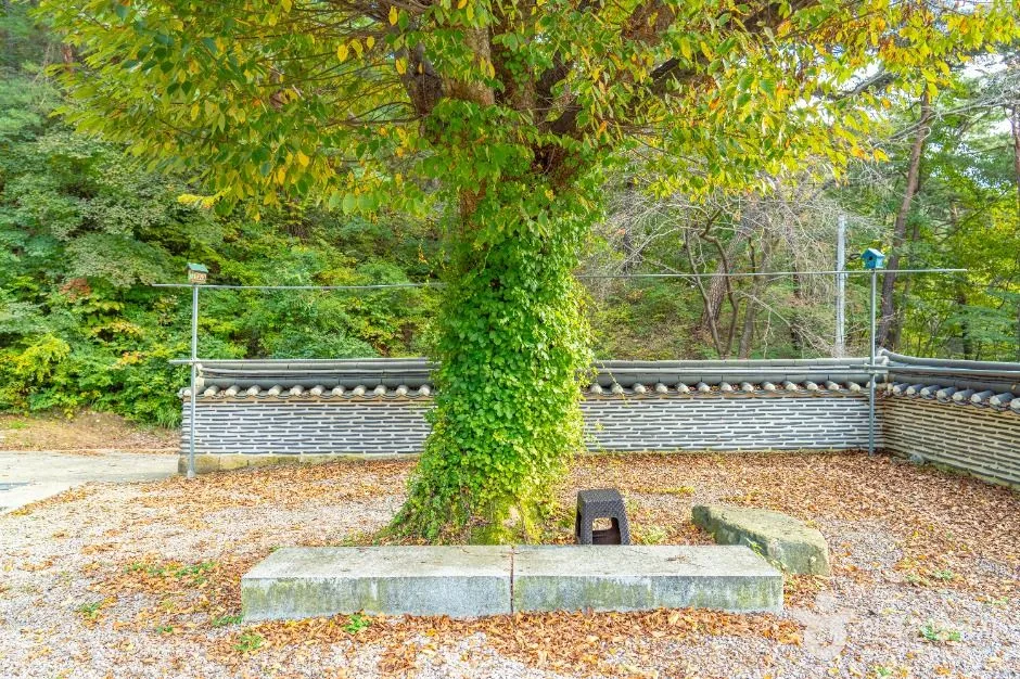 보은_여적암(보은) (6)