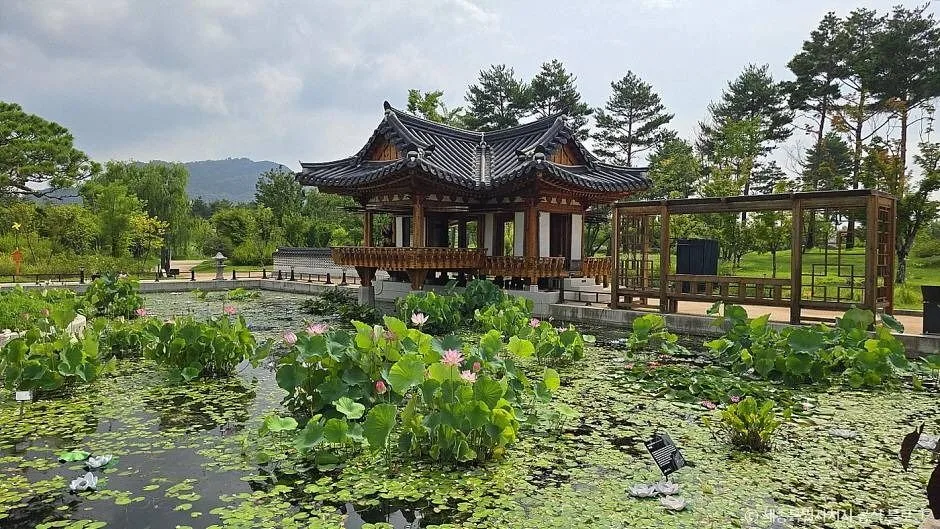 세종_국립세종수목원_외부_9.jpg