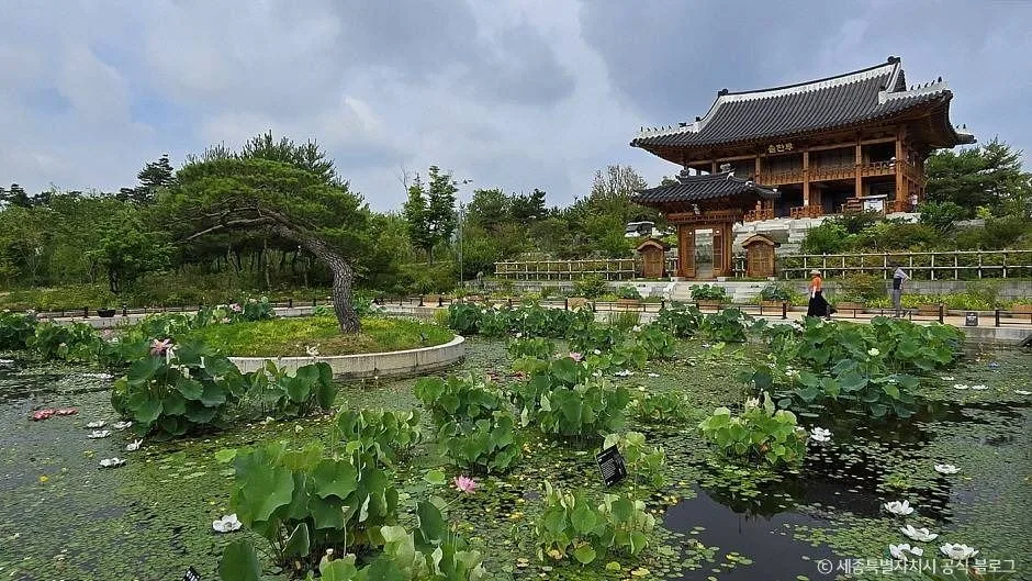 세종_세종_국립세종수목원_산책로에서부터 반기는 튤립_4.jpg