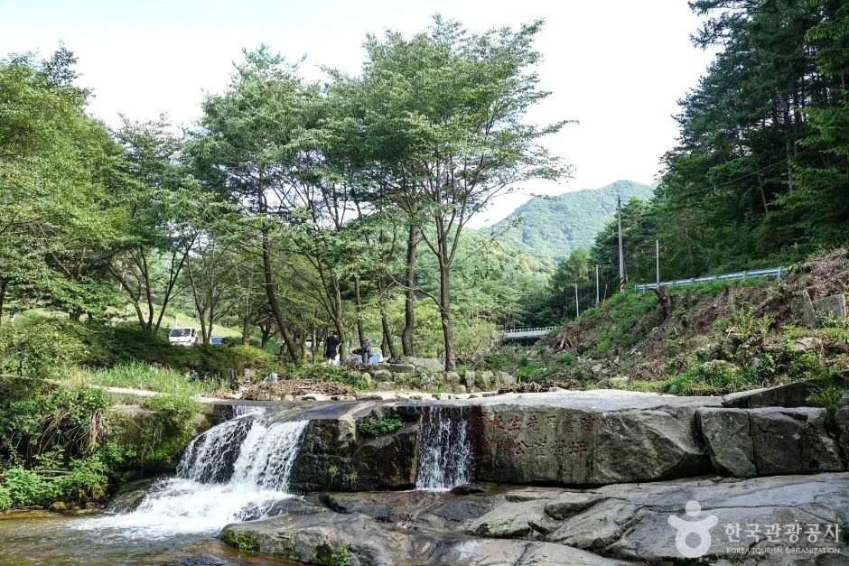 수포대 (6)