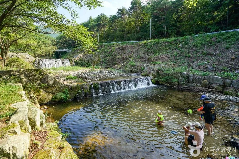 수포대 (4)