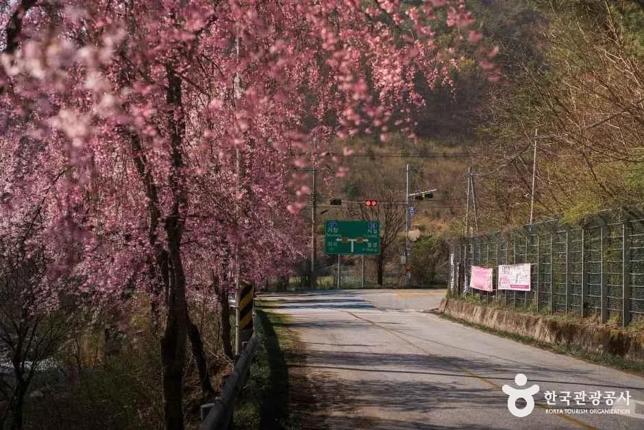 경남_거창_병곡마을_외부_3.jpg