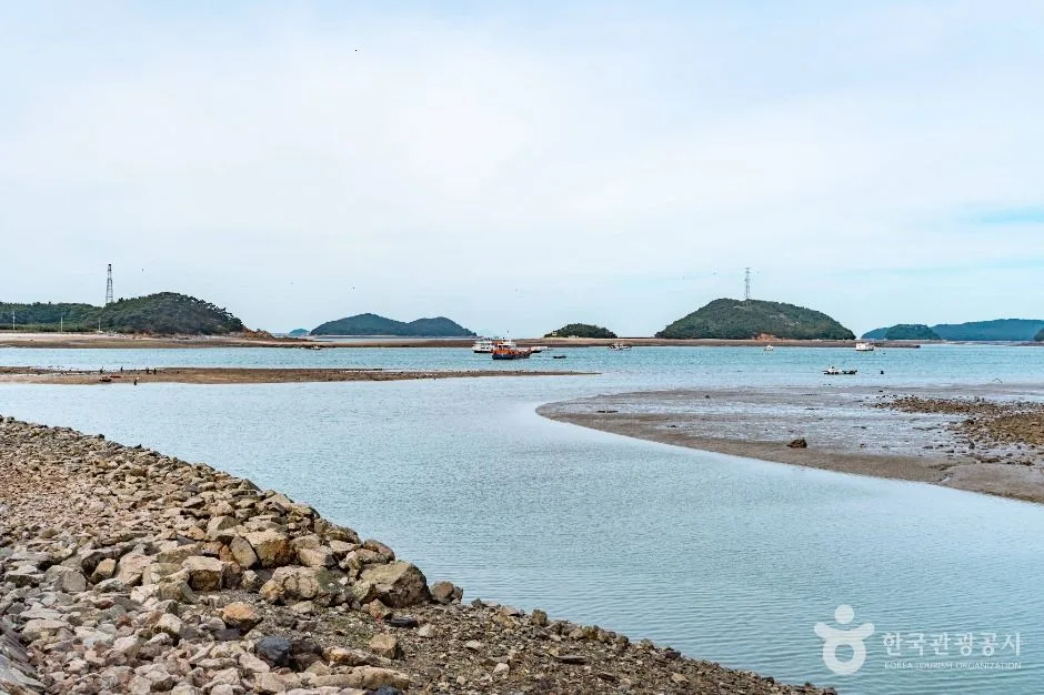 도비도항