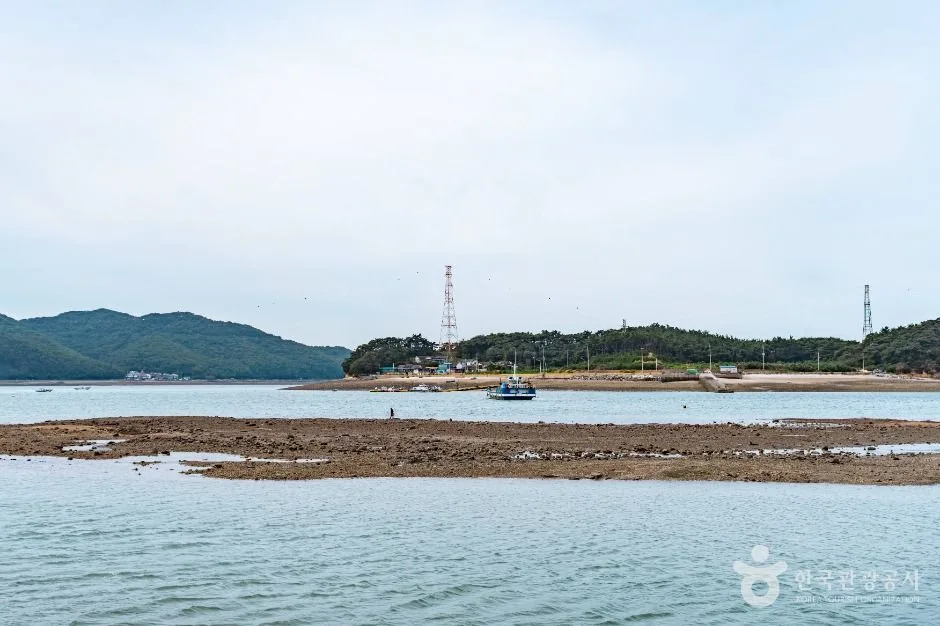 당진_도비도항(3)
