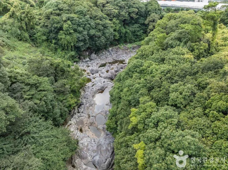 제주_제주_무수천 (7)