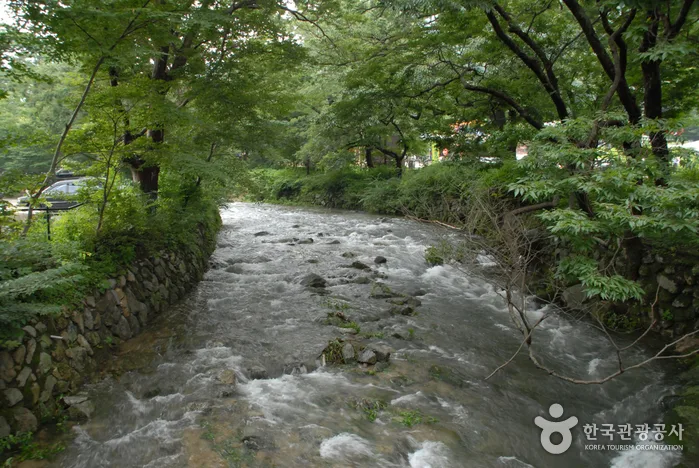 계룡산 갑사계곡