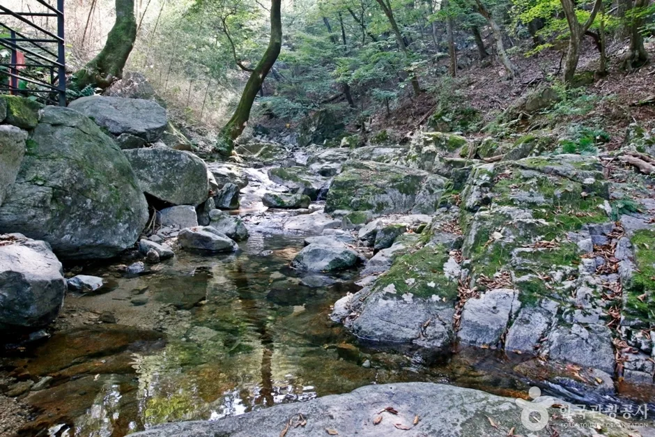 갑사계곡 (6)