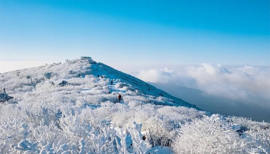 태백_태백산 국립공원 (3)