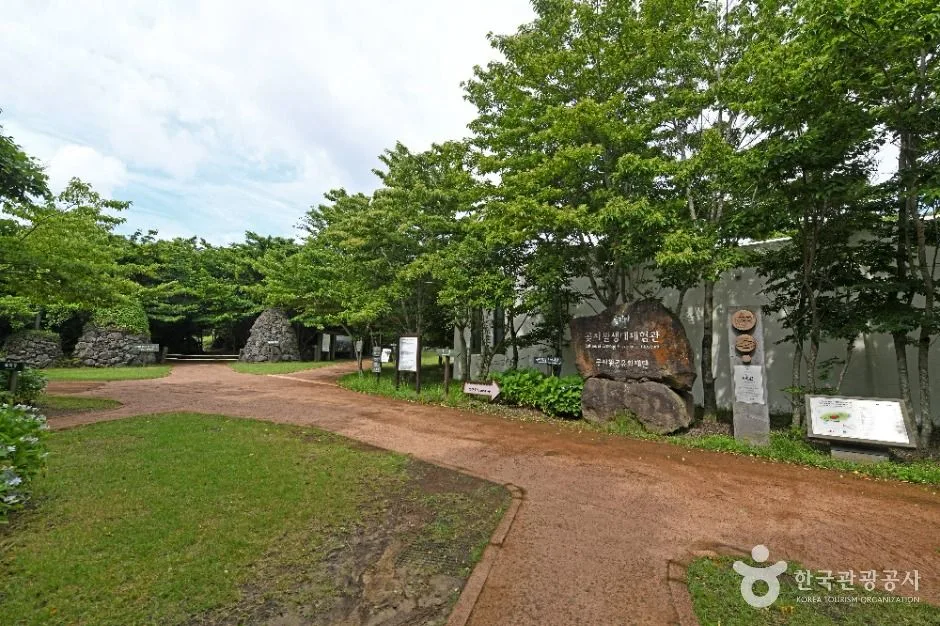제주_제주_교래자연휴양림_외부_5.jpg