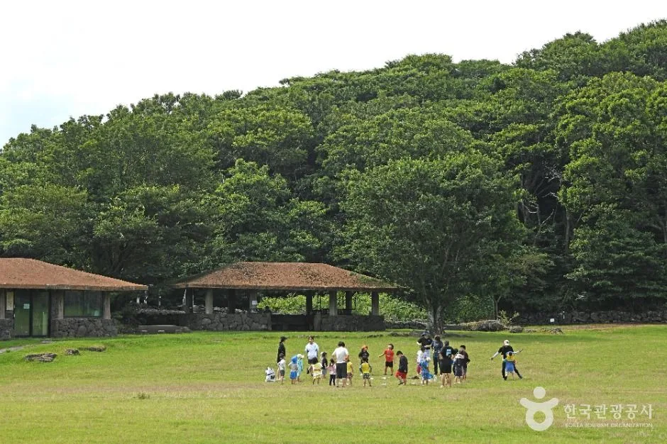 제주_제주_교래자연휴양림_외부_8.jpg