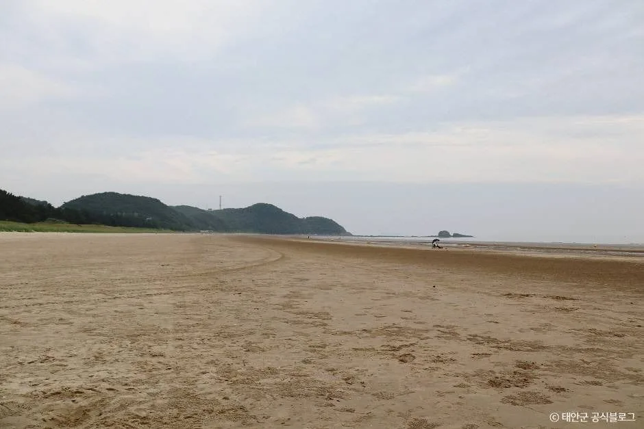 안면해수욕장
