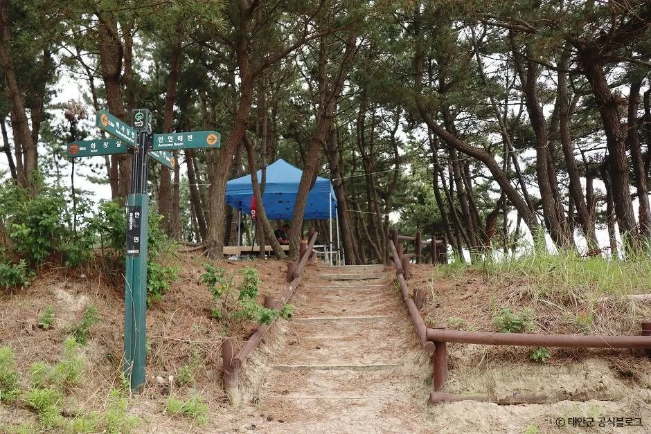 태안_안면해수욕장 (4)