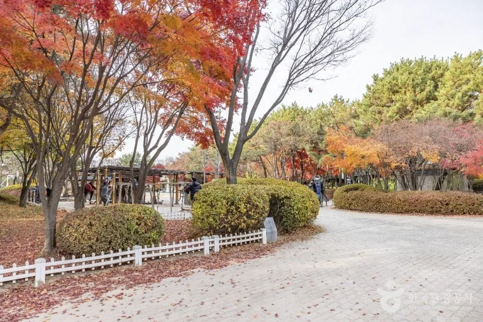 서울금천_금천 체육공원 (2)