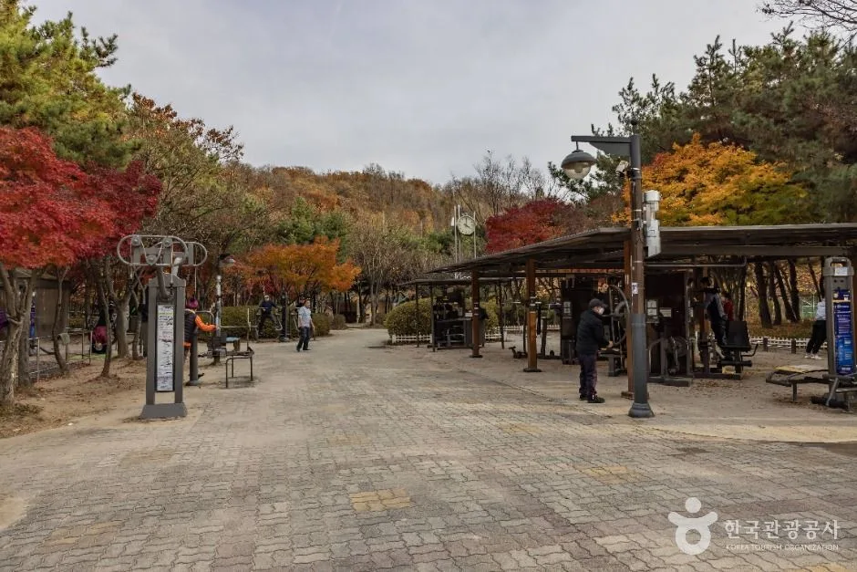 서울금천_금천 체육공원 (5)