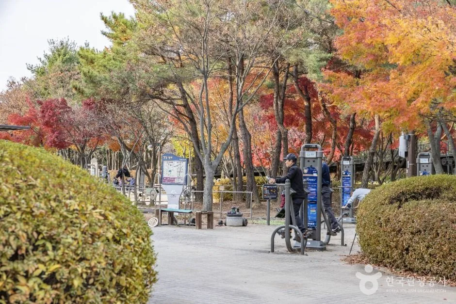 서울금천_금천 체육공원 (3)