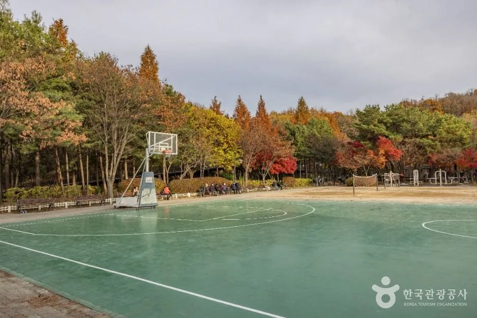 서울금천_금천 체육공원 (6)