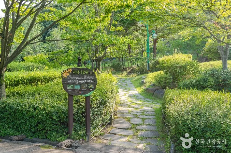 구미_구미에코랜드 (5)