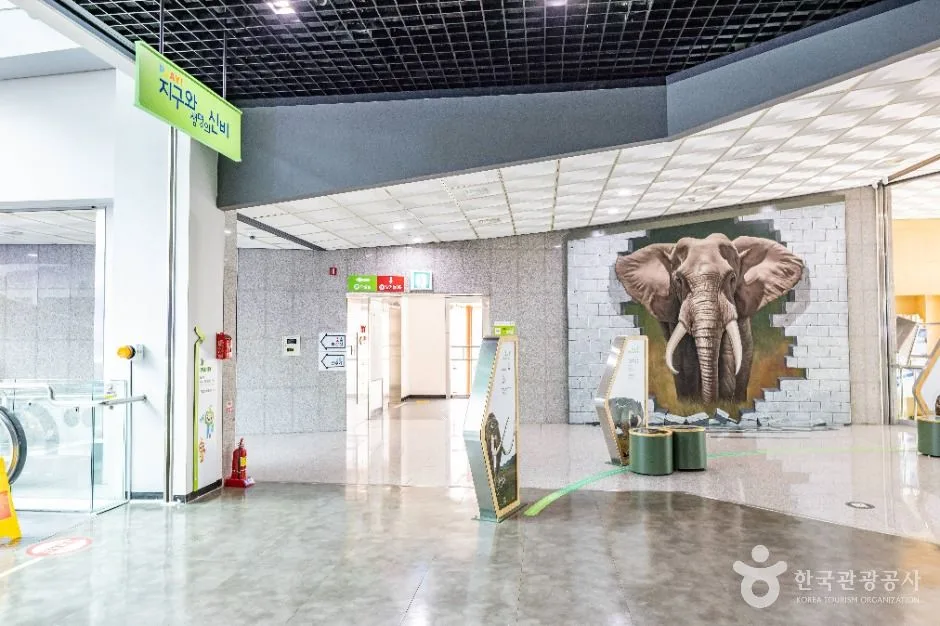 청주_충청북도자연과학교육원 과학전시관 (15)