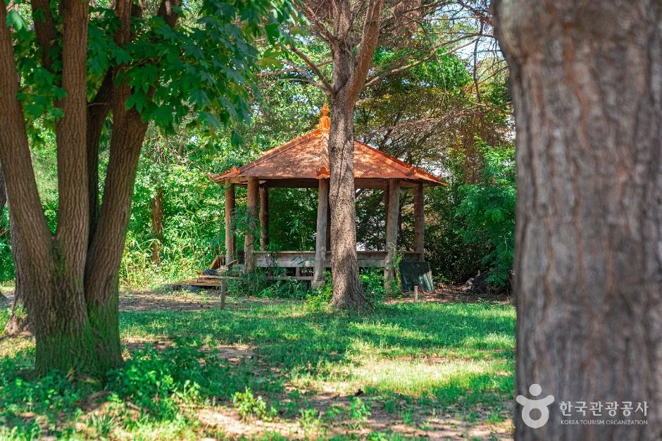 수원_무궁화동산 (2)