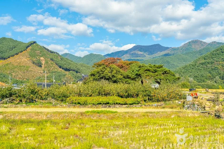 구례_방광마을 (5)