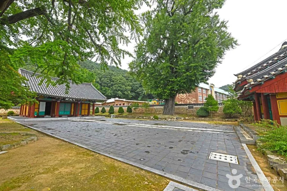 정읍향교 (5)