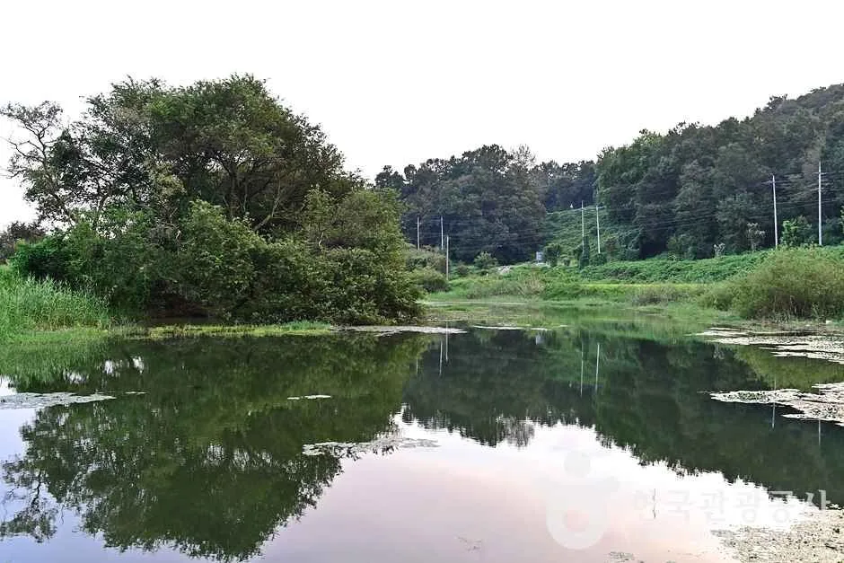 반구정습지 (6)